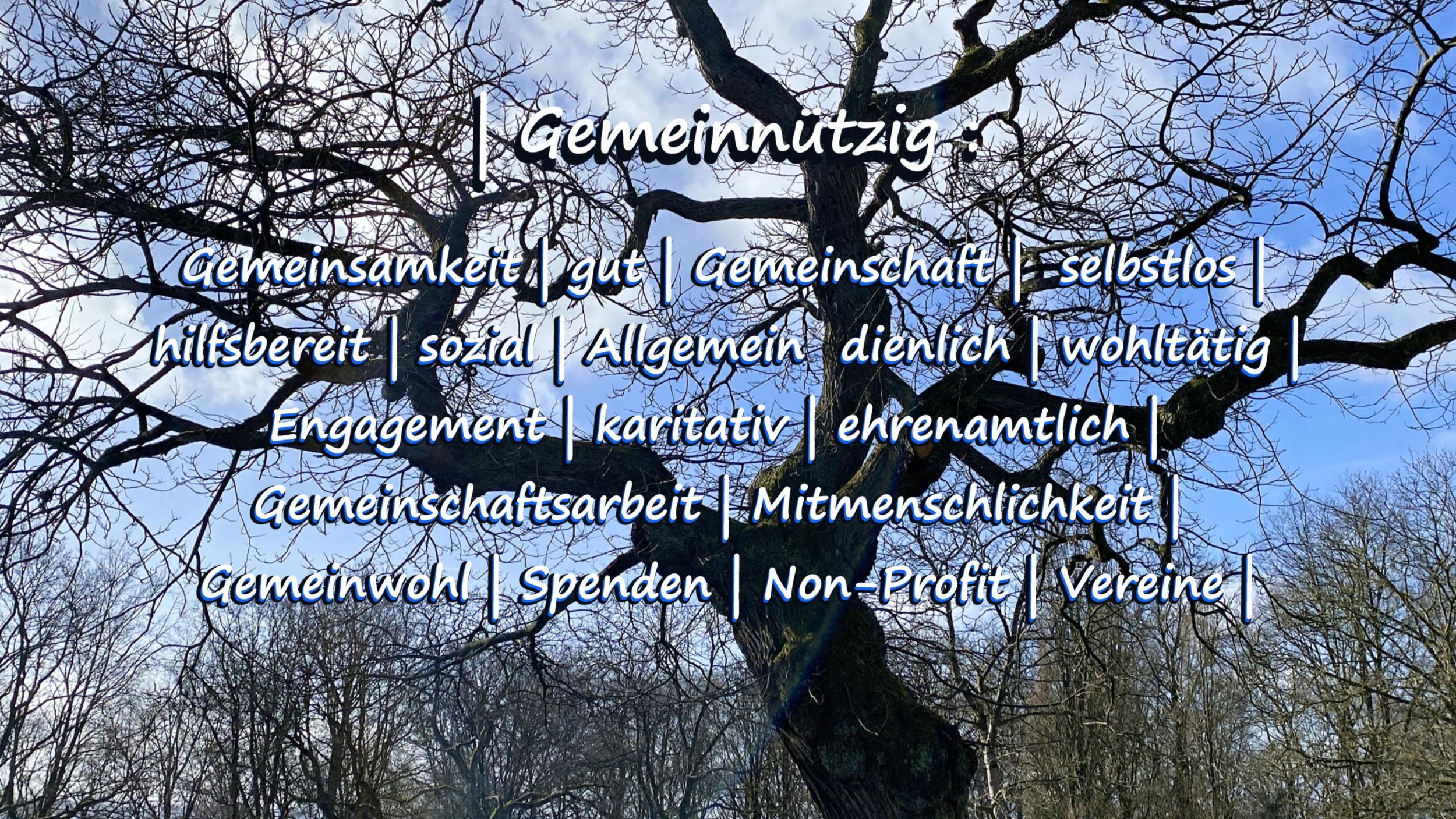 Gemeinnützig_7
