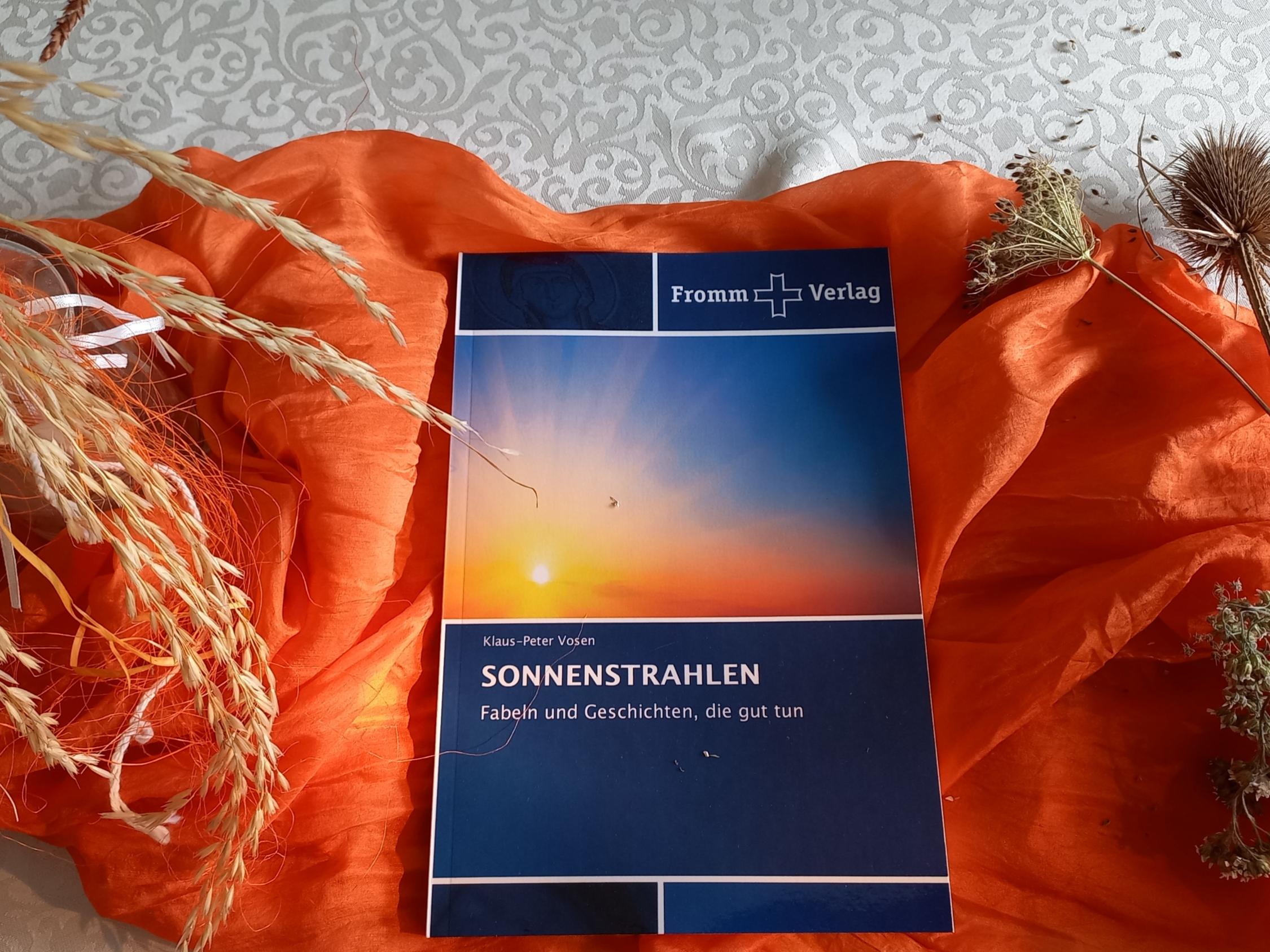 Buch-Sonnenstrahlen